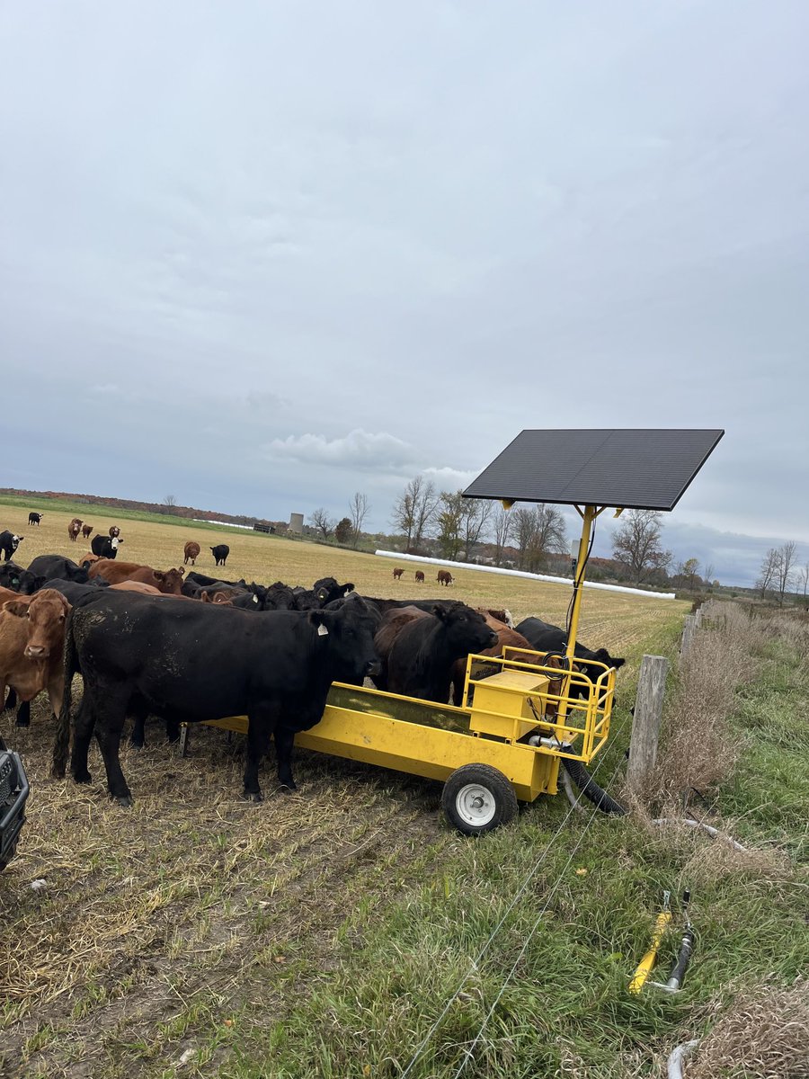 Scott MacDonald tweet media