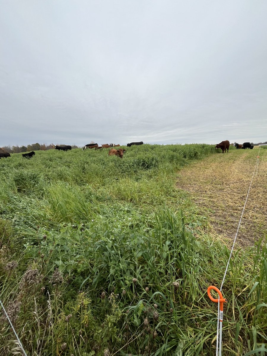 Scott MacDonald tweet media