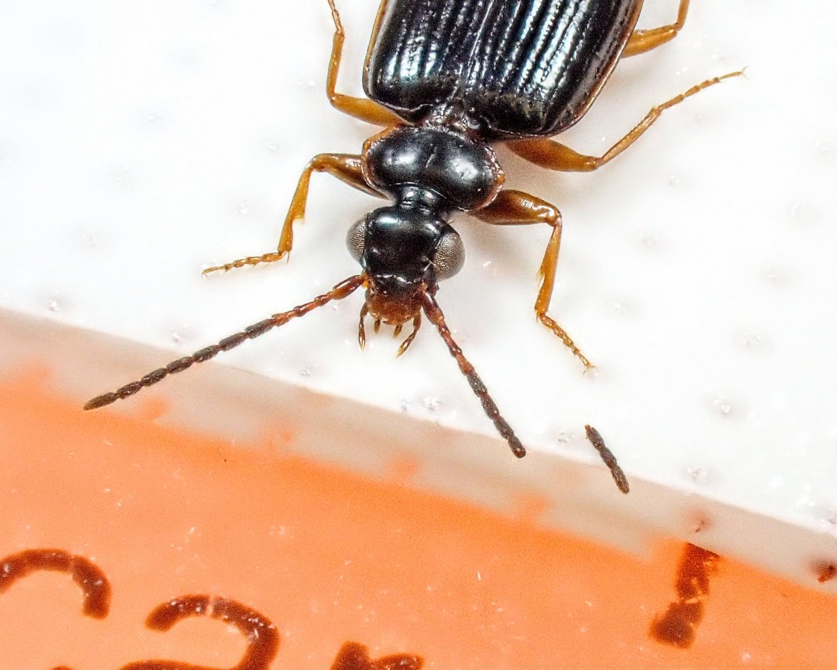 putiputi (@putin59844457) / Posts / X