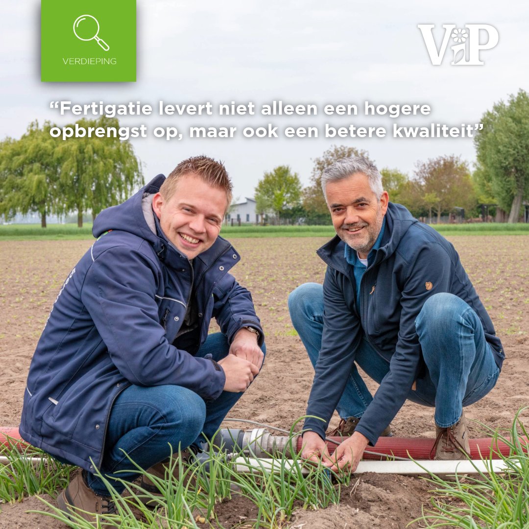 In de akkerbouw zet fertigatie grote stappen. Waar het in de tuinbouw al jaren de norm is, maken akkerbouwers nu de sprong naar precisie. Mikey Akkermans en Eric Watzeels van Van Iperen laten zien hoe slim water en voeding inzetten zorgt voor groener gewas, betere sortering en