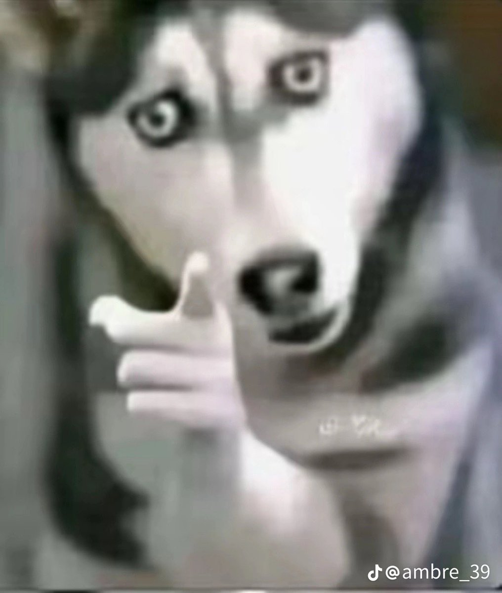 💸SPARK .ETH💸 (@sparketh234) on Twitter photo Your data is valuable.
Your identity is powerful.
So why give both away just to verify again and again?
With <a href="/idOS_network/">idOS</a>, you don’t have to.
You verify once, and every dApp that connects to idOS can recognize you instantly —
without seeing your private info. Your data is valuable.
Your identity is powerful.
So why give both away just to verify again and again?
With <a href="/idOS_network/">idOS</a>, you don’t have to.
You verify once, and every dApp that connects to idOS can recognize you instantly —
without seeing your private info.