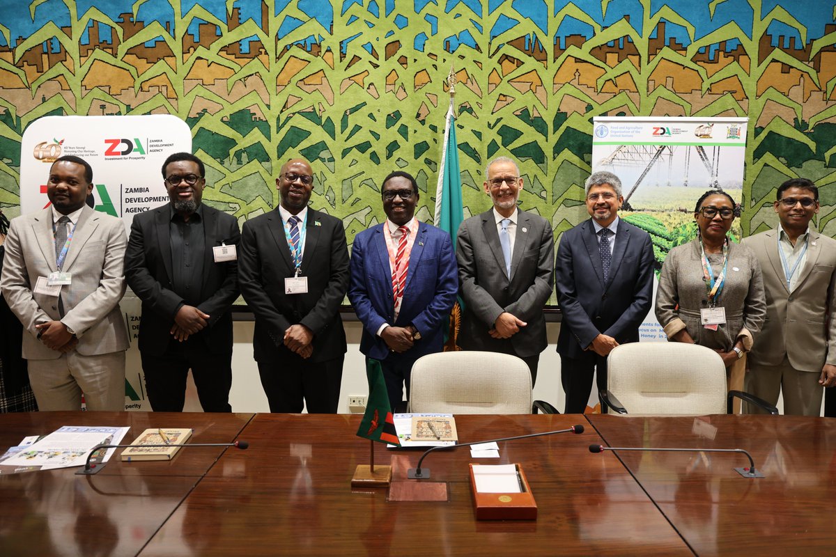 FAO Zambia tweet media