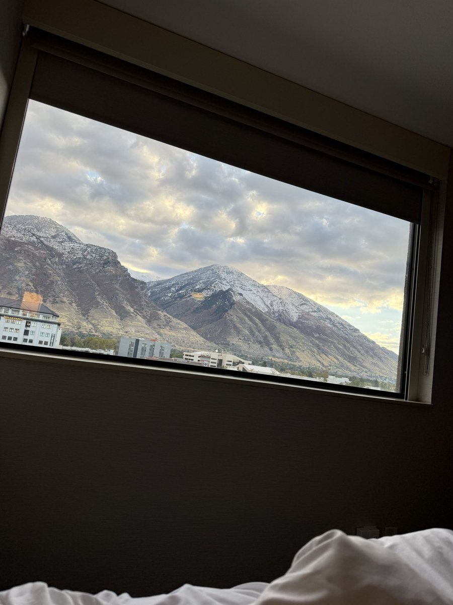 The hotel room is average at best BUT the view looks fake.  Like that’s not a painting.  That’s actually just the view out the window .   #provo #davejustdidart