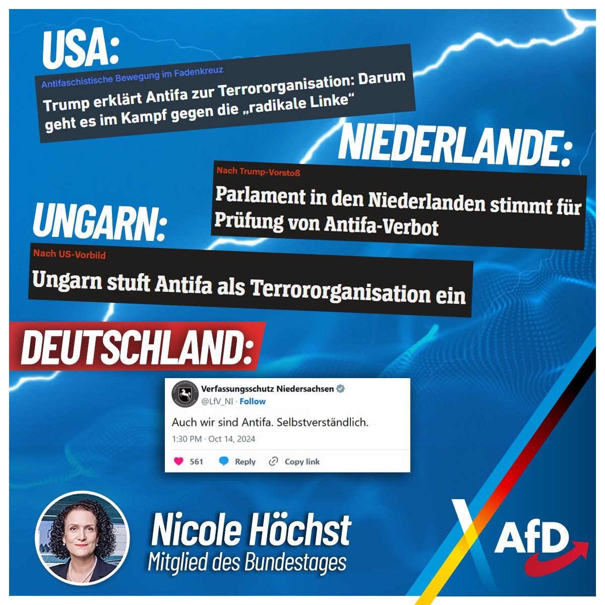 Nicole Höchst, MdB tweet media