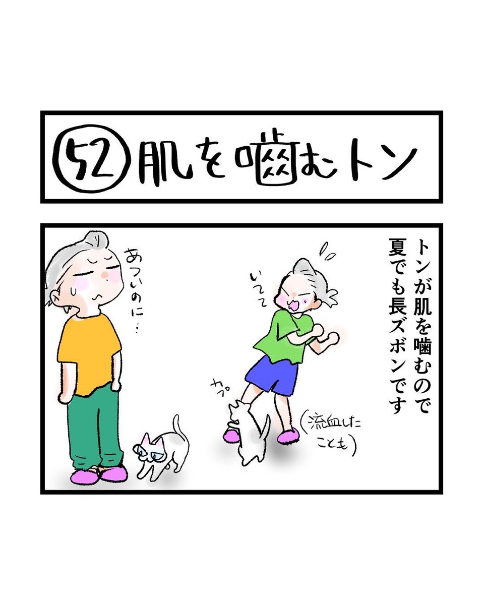インスタ4コマ「私たちは猫猫している」更新されました。

真夏に部屋着が長ズボンは暑いです。

https://t.co/5ELErBzSOF 