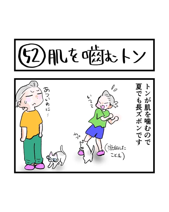 インスタ4コマ「私たちは猫猫している」更新されました。

真夏に部屋着が長ズボンは暑いです。

https://t.co/5ELErBzSOF 
