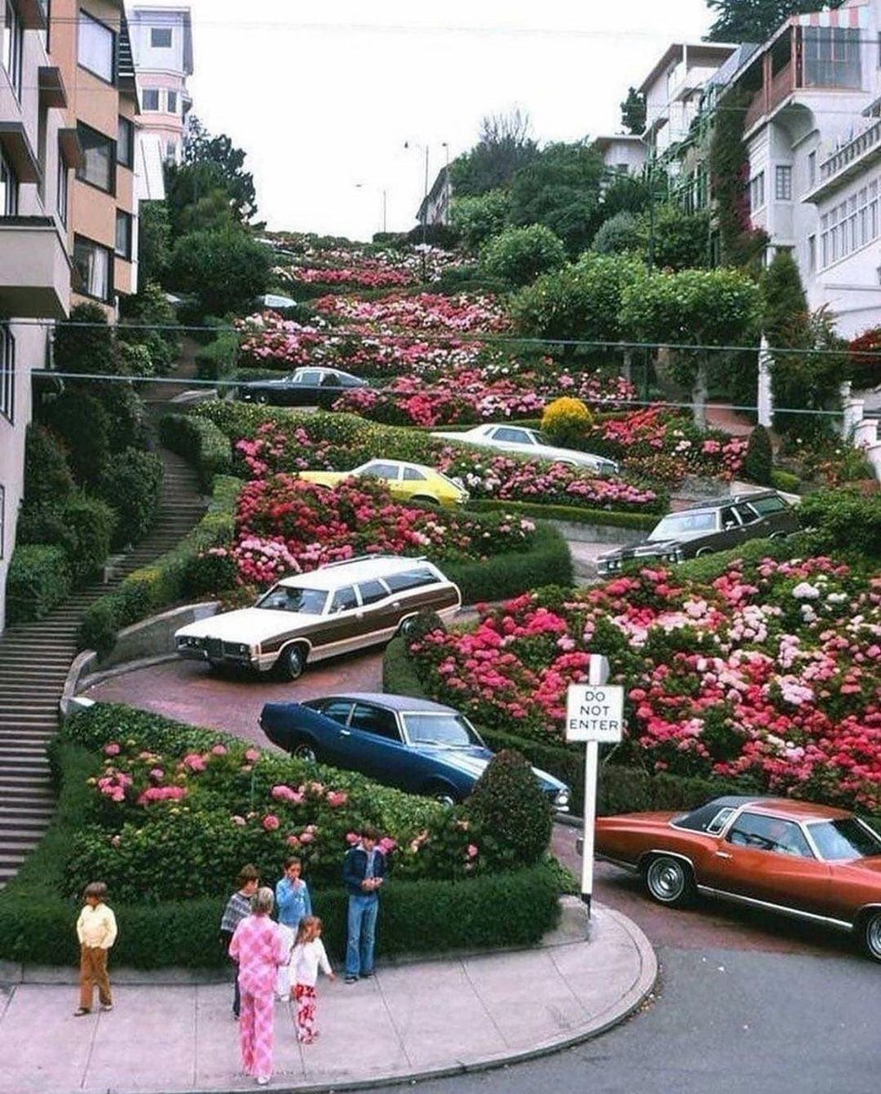 Take the local landscape and make it beautiful. Lombard Street. San Francisco.