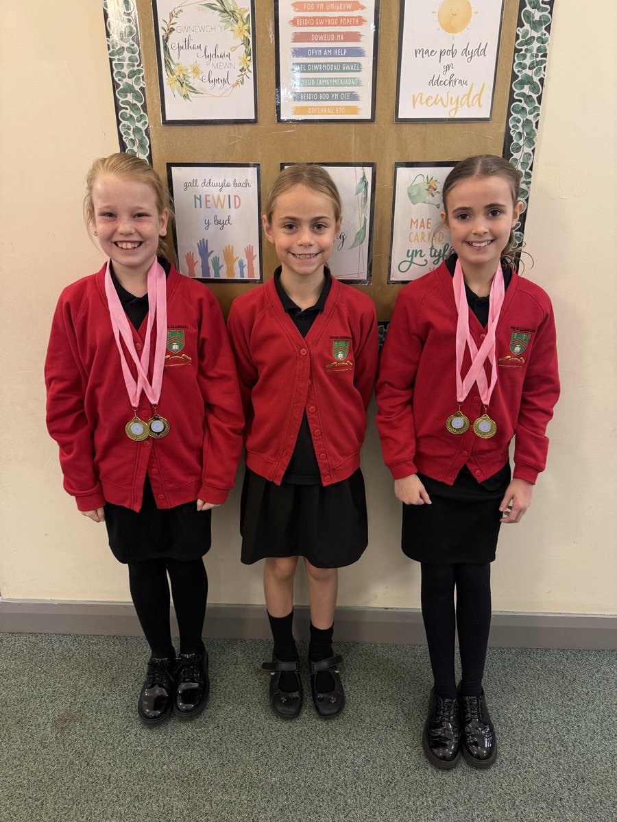 Dosbarth Barcud tweet media