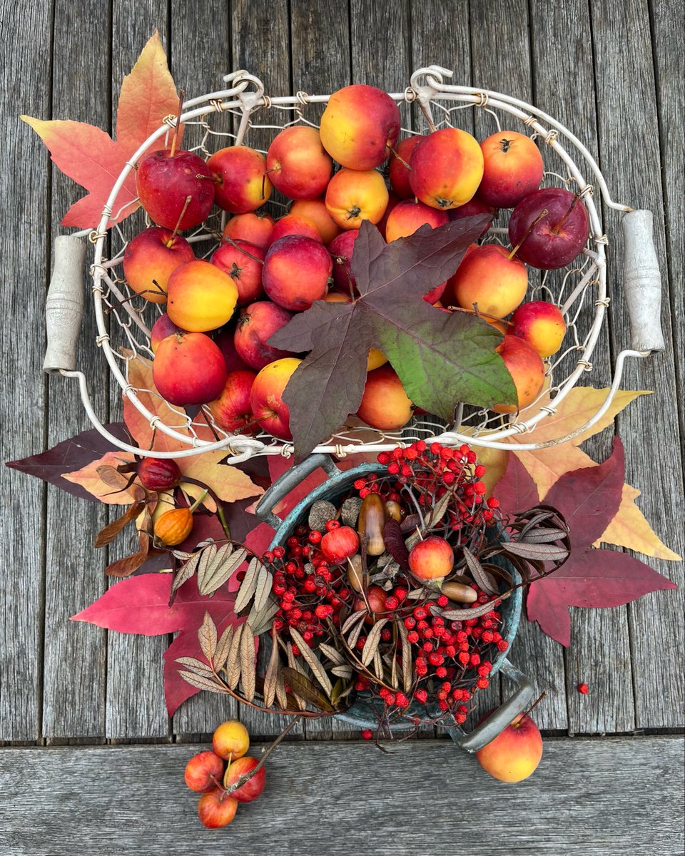 It’s been a grey old week… but I’ve managed to collect a few little bits of autumnal brightness! 🧡🍁❤️🍂💛