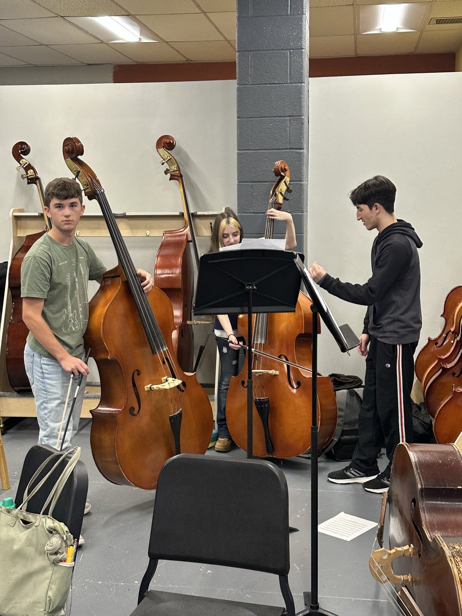 Mr. Feigenbaum’s Orchestras tweet media