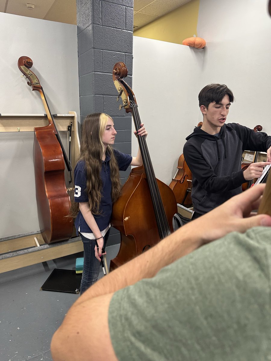 Mr. Feigenbaum’s Orchestras tweet media