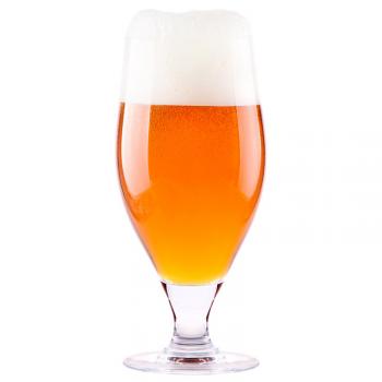 Brewing Terms - mailchi.mp/ebrew/brewing-…