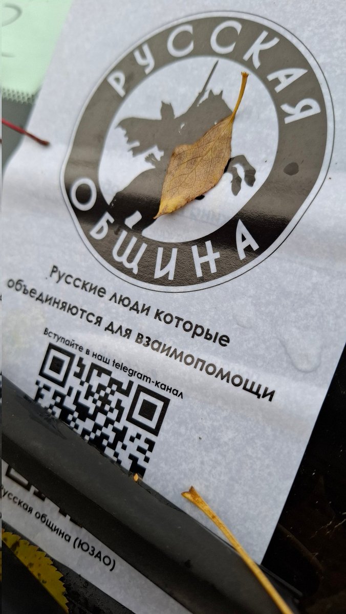 Уже третий раз кладут под дворник машины. Чувствуется лапа Корейко. #протестнараене