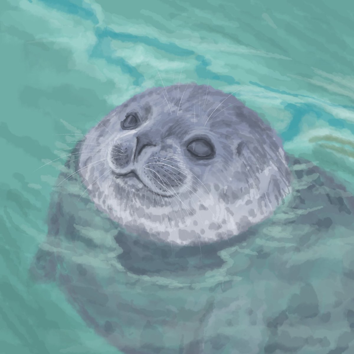 Day 15 Tsuki : Tsuki channnnn #sealtober