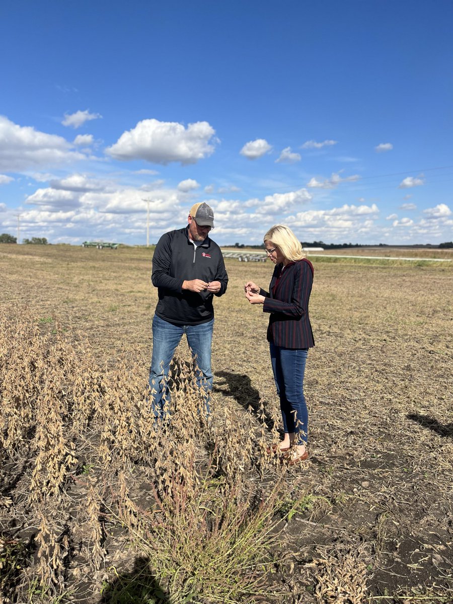 Ashley Hinson tweet media