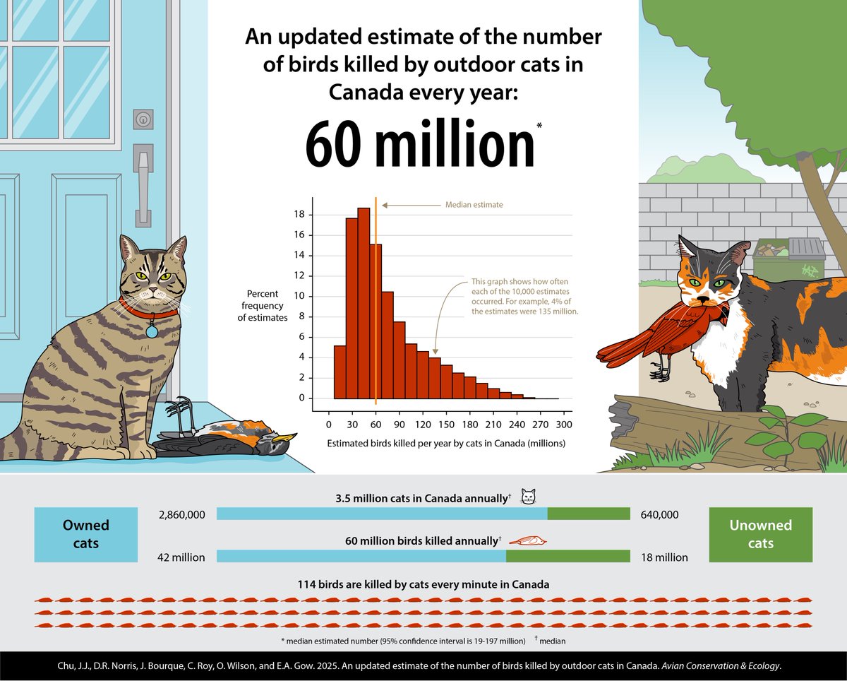 KAP. Design tweet media