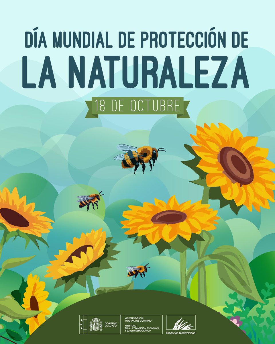 Los servicios que nos brinda la #Naturaleza son esenciales para nuestra ❤️ salud, 🌟 calidad de vida y 📈 desarrollo económico.

Conservarla, restaurarla y usar sus recursos de forma sostenible es invertir en nuestro futuro 💚

#DíaMundialDeLaProtecciónDeLaNaturaleza