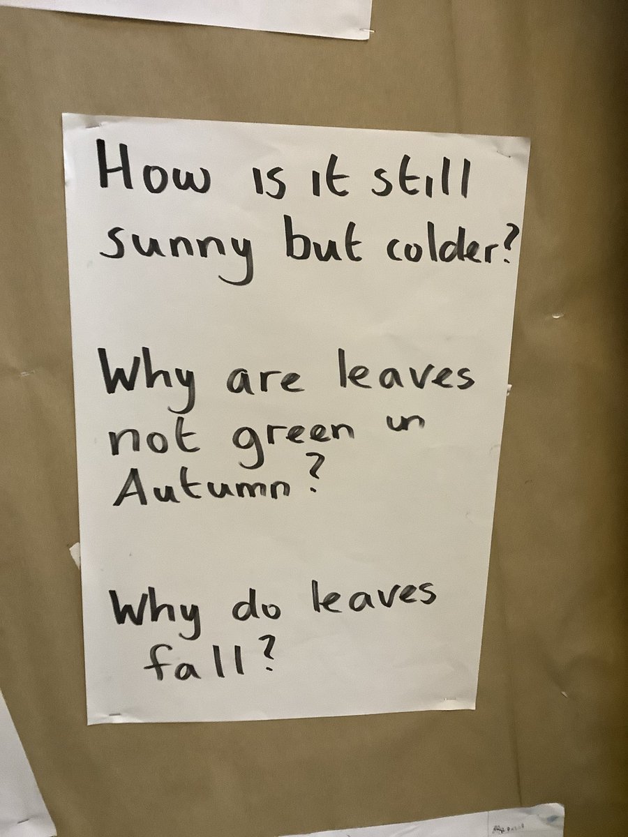 We have been seizing the season in Dosbarth 7AP. We came up with curiosity questions about Autumn and went onto explore the school grounds.
We are really curious why some trees are still green?
We are going to find out about it next week. 

<a href="/garntegprimary/">Garnteg Primary</a> #curiosity