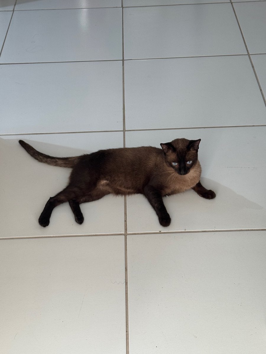 descanse em paz, café. você foi um ótimo companheiro durante esses poucos meses juntos 🤎