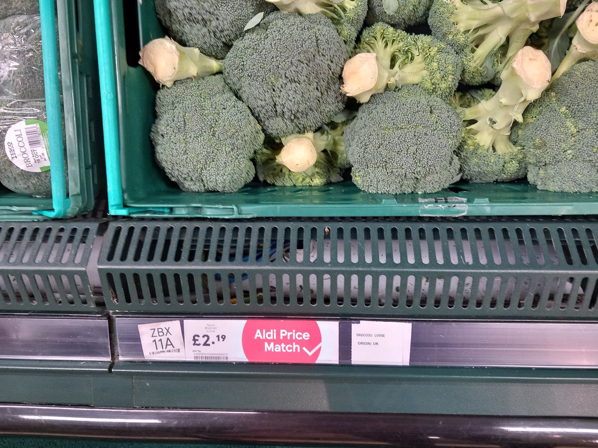 welshbird1971 tweet media