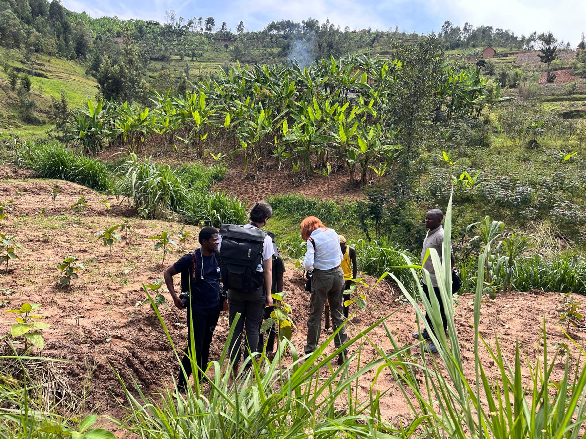 #StorytellingImpact EP 3| Ngororero district

On our third episode of #StorytellingImpact, our team documented the story of Dusingizimana Sylvain, a young entrepreneur living in Torero Cell, Ngororero Sector. In June 2023, Sylvain took part in a three-day training organized by