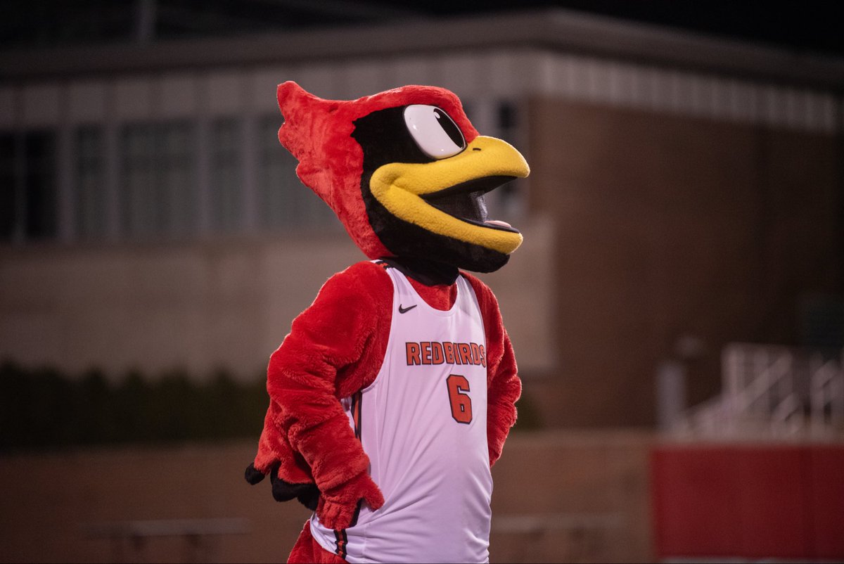 Reggie Redbird tweet media