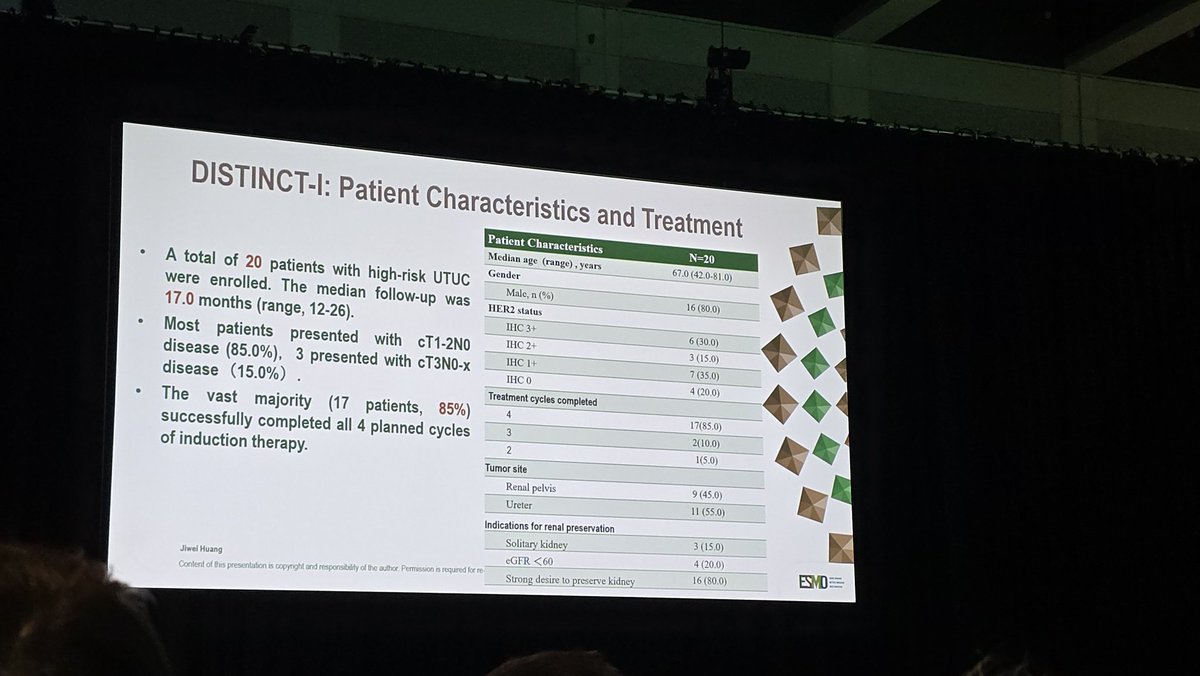QianJanieQin's tweet photo. #Disitamab #vedotin-#tislelizumab combination showed promising tumor downstaging (70%) and nephron preservation (75%) in high risk #UTUC with favorable safety profile w/ #DrJiweiHuang #ESMO25
@TiansterZhang https://t.co/ISOXinhlry