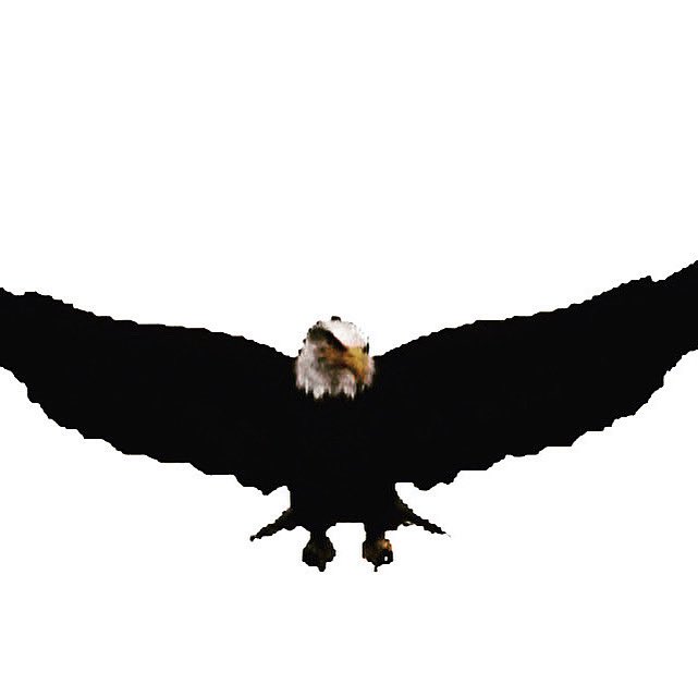 🔥From South Louisville to the AU Nest!🔥
New Eagles are starting to soar in to the Nest — excited to welcome another to our 2026 class! 💜⚾️🦅
#AsburyBaseball #TalonsUp