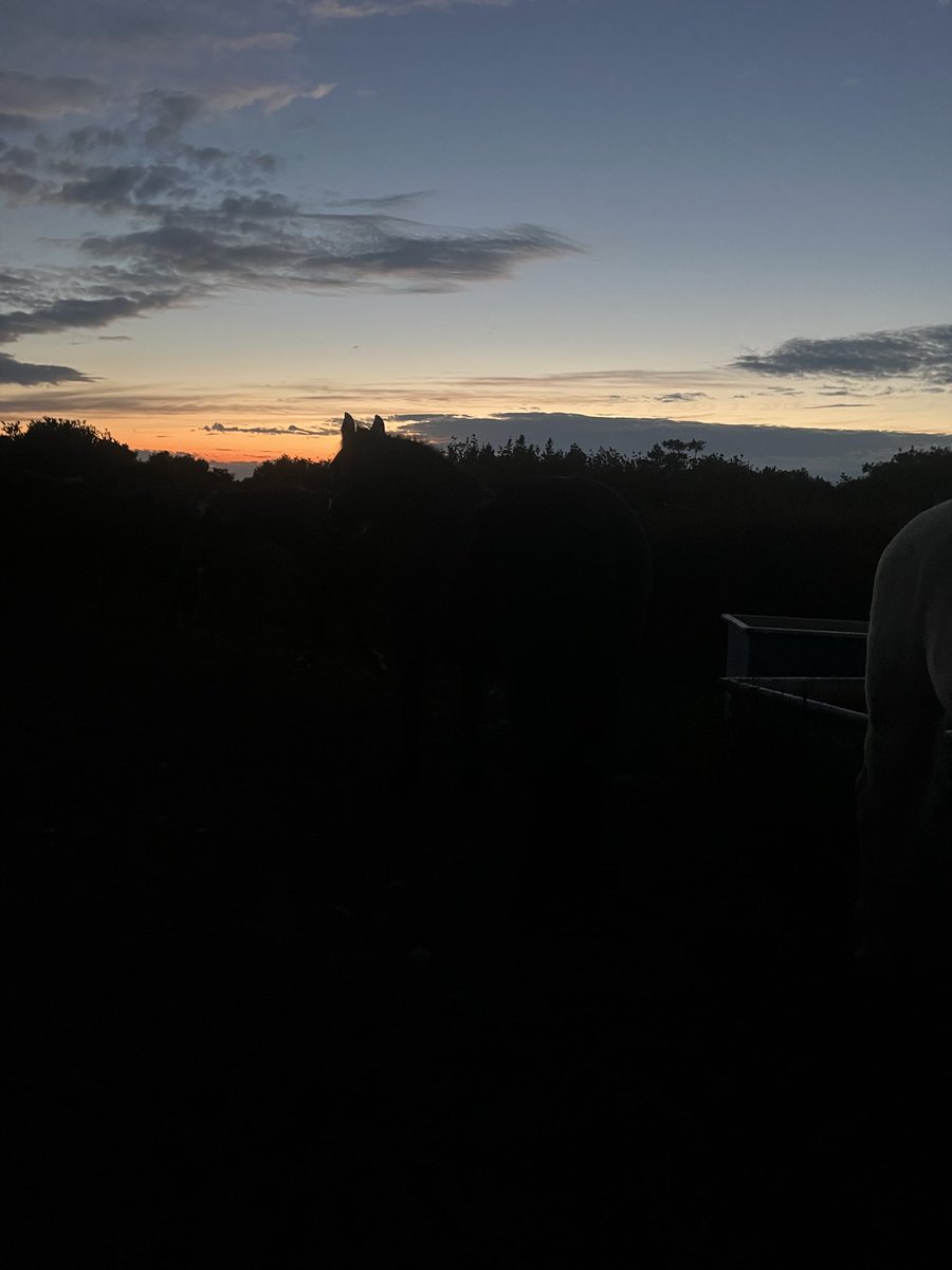 Horses &amp; sunsets …
