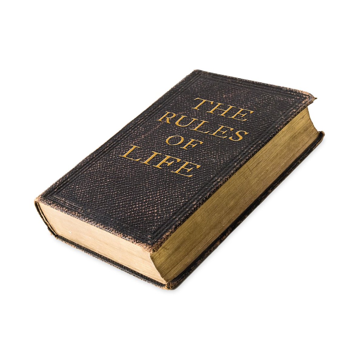 GioHost's tweet image. From Morgan Housel: Little Rules About Big Things  surl.lt/jkryvq #Rules #solveproblems