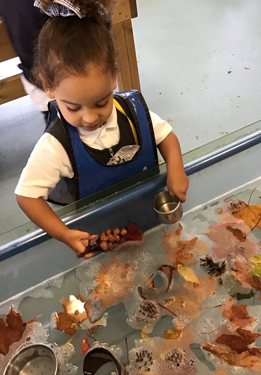 EYFS_OLSP's tweet photo. The children have been diving into Autumn with hands-on fun! From leaf rubbings to rolling conkers in paint, they have explored the season through creativity and play🎨🍁 #Autumn #Learningthroughplay https://t.co/eKRTuqUm5g