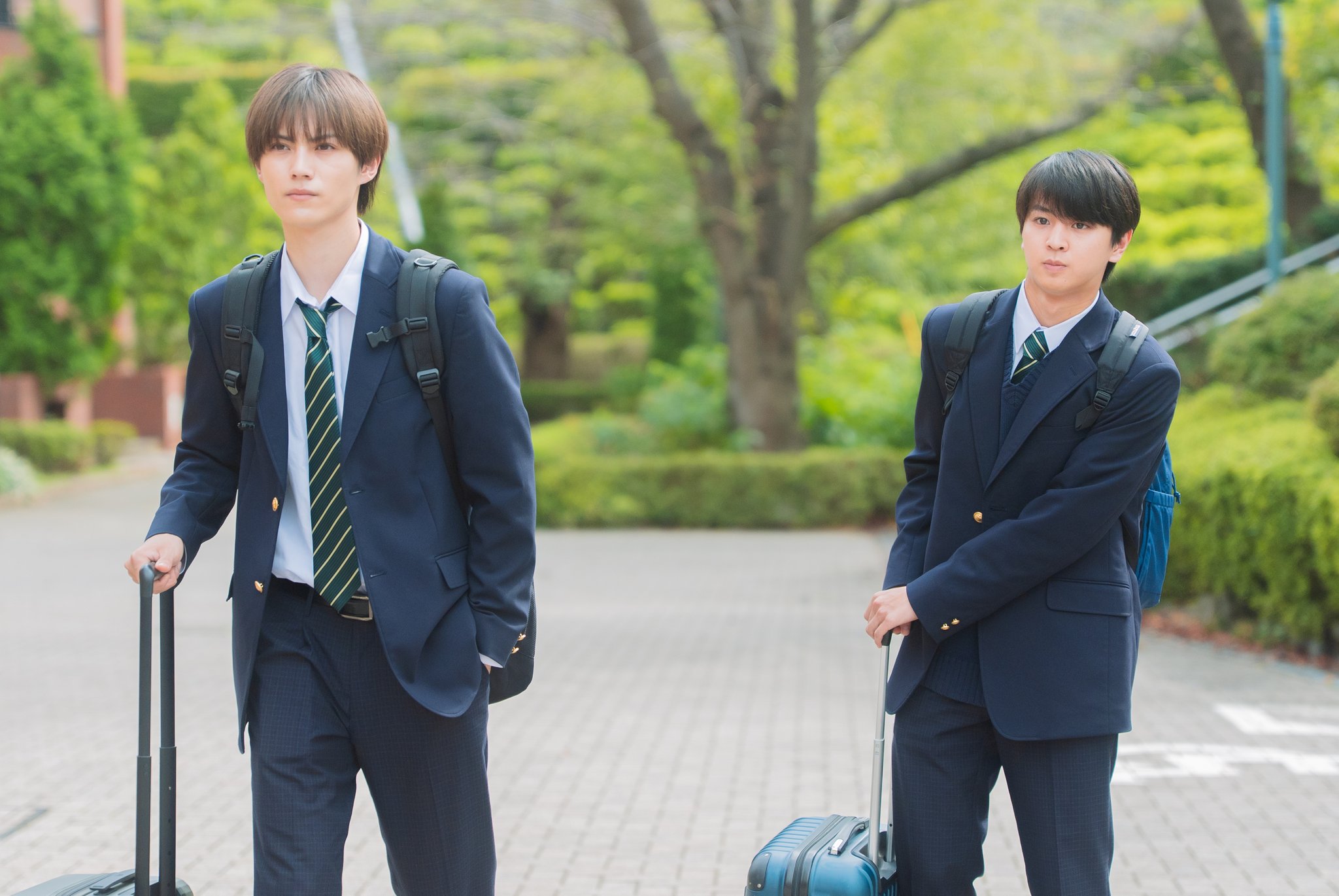 TVガイドWeb【公式】 on X: 