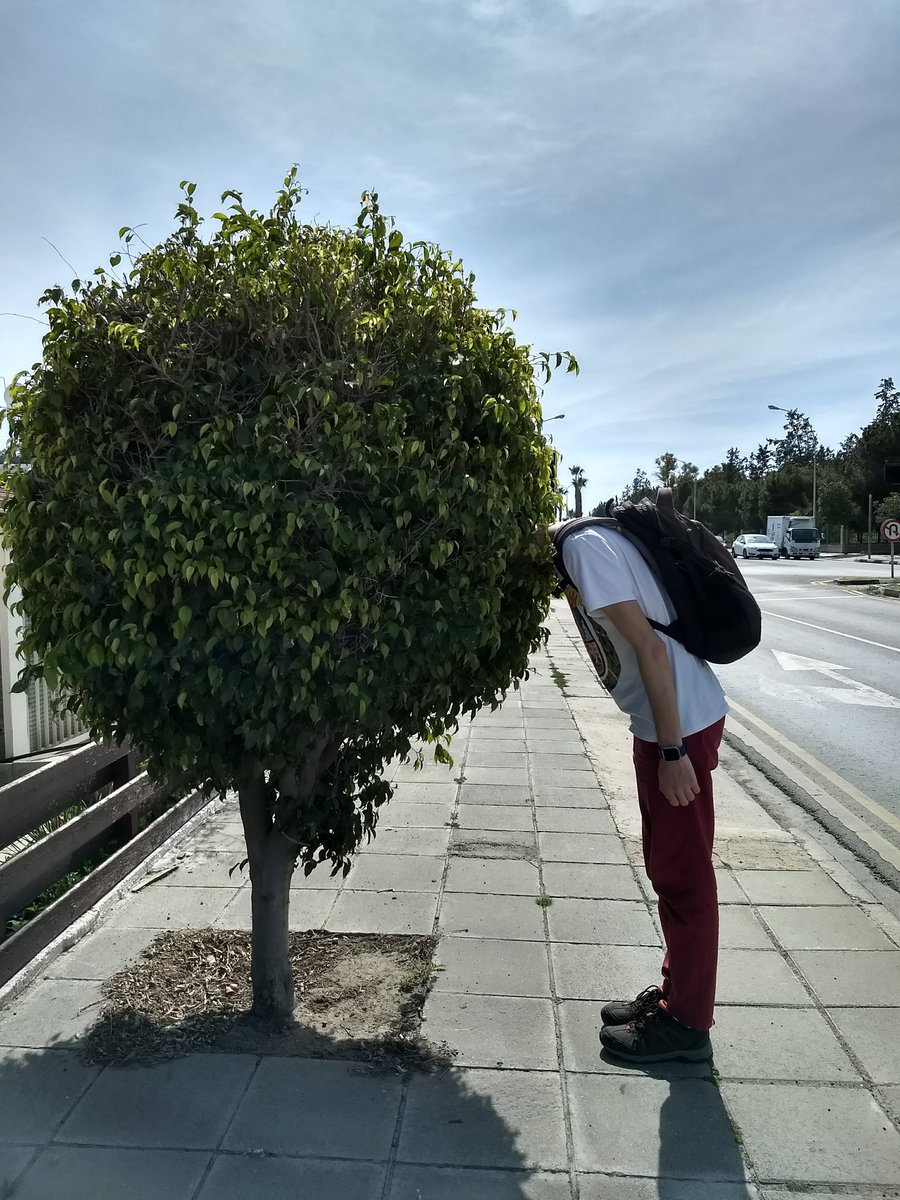 Колись в Ларнаці шукав лимони.