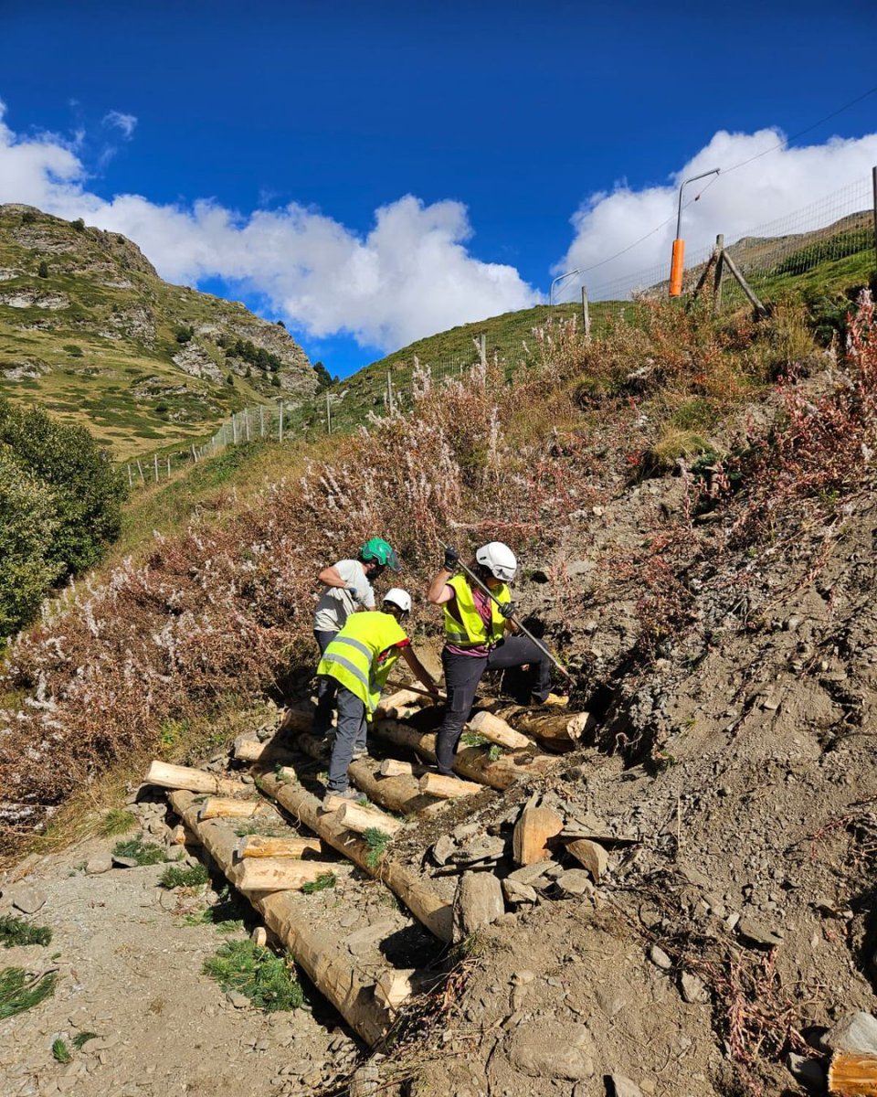 Projecte Boscos de Muntanya tweet media