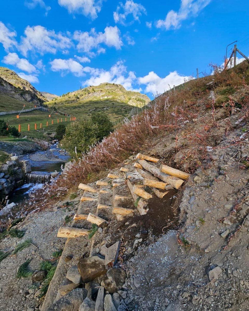 Projecte Boscos de Muntanya tweet media