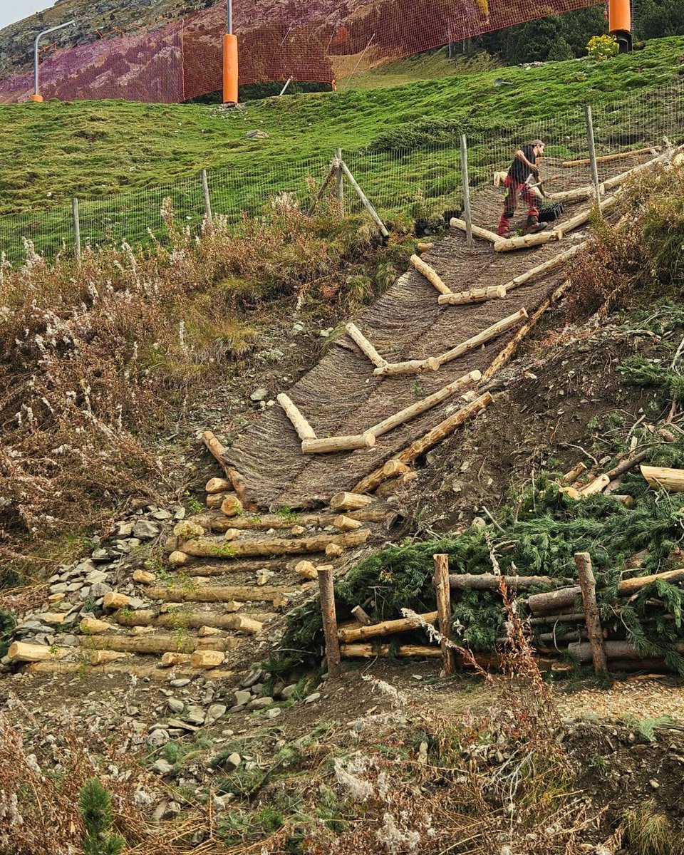 Projecte Boscos de Muntanya tweet media