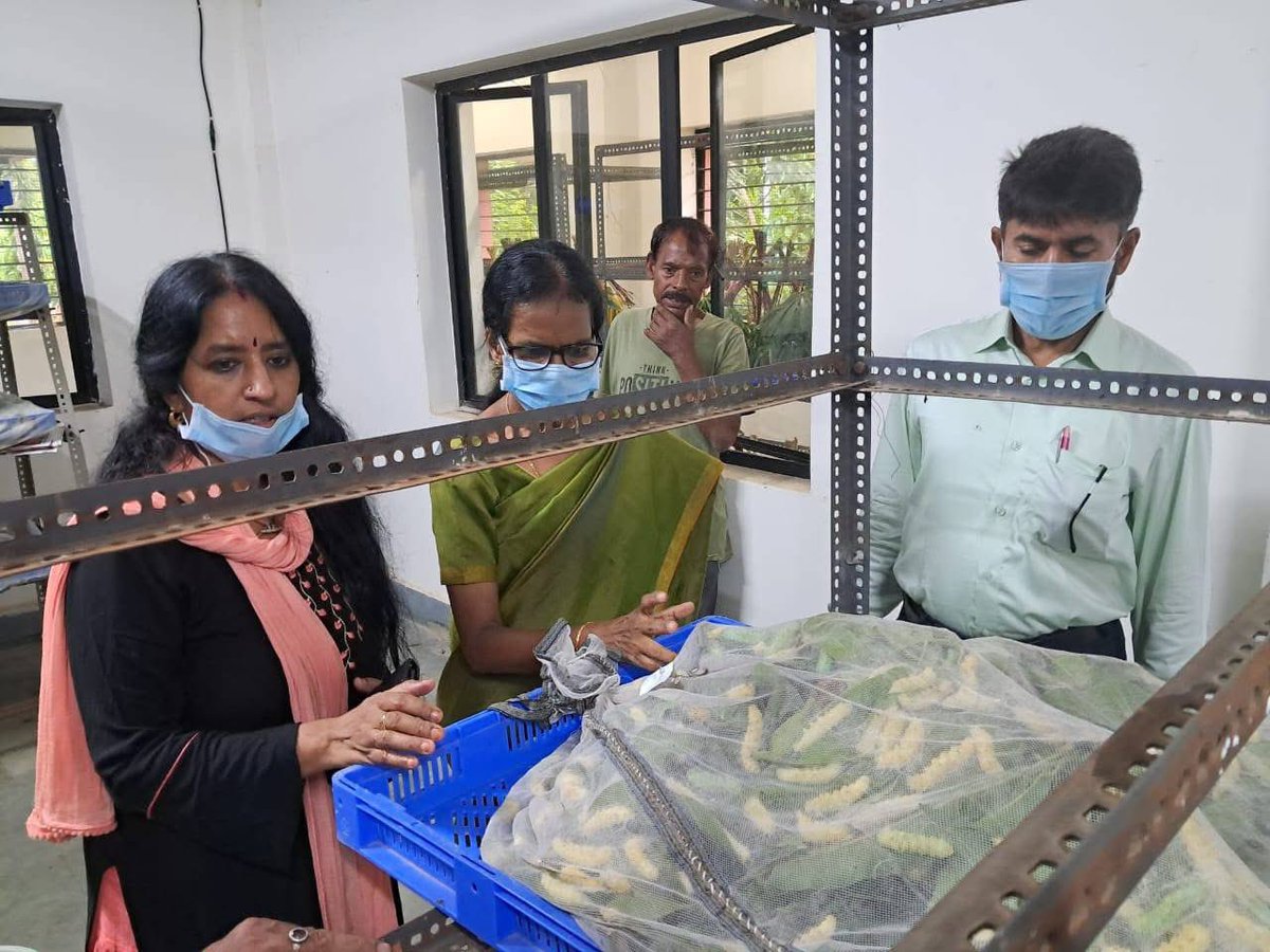 MssoSilk's tweet photo. Director, MESSO Dr. M. Maheswari, along with Dr. B. N. Sarkar, visited P2 EBSF Topatoli to review ongoing commercial seed production activities & the progress of Seri Ecotourism development works.
A meeting was also held with APWD officials on the interior design plans for the upcoming Silk Museum.
A productive day of progress and creative planning for sericulture promotion. 
@csbmot @TexMinIndia