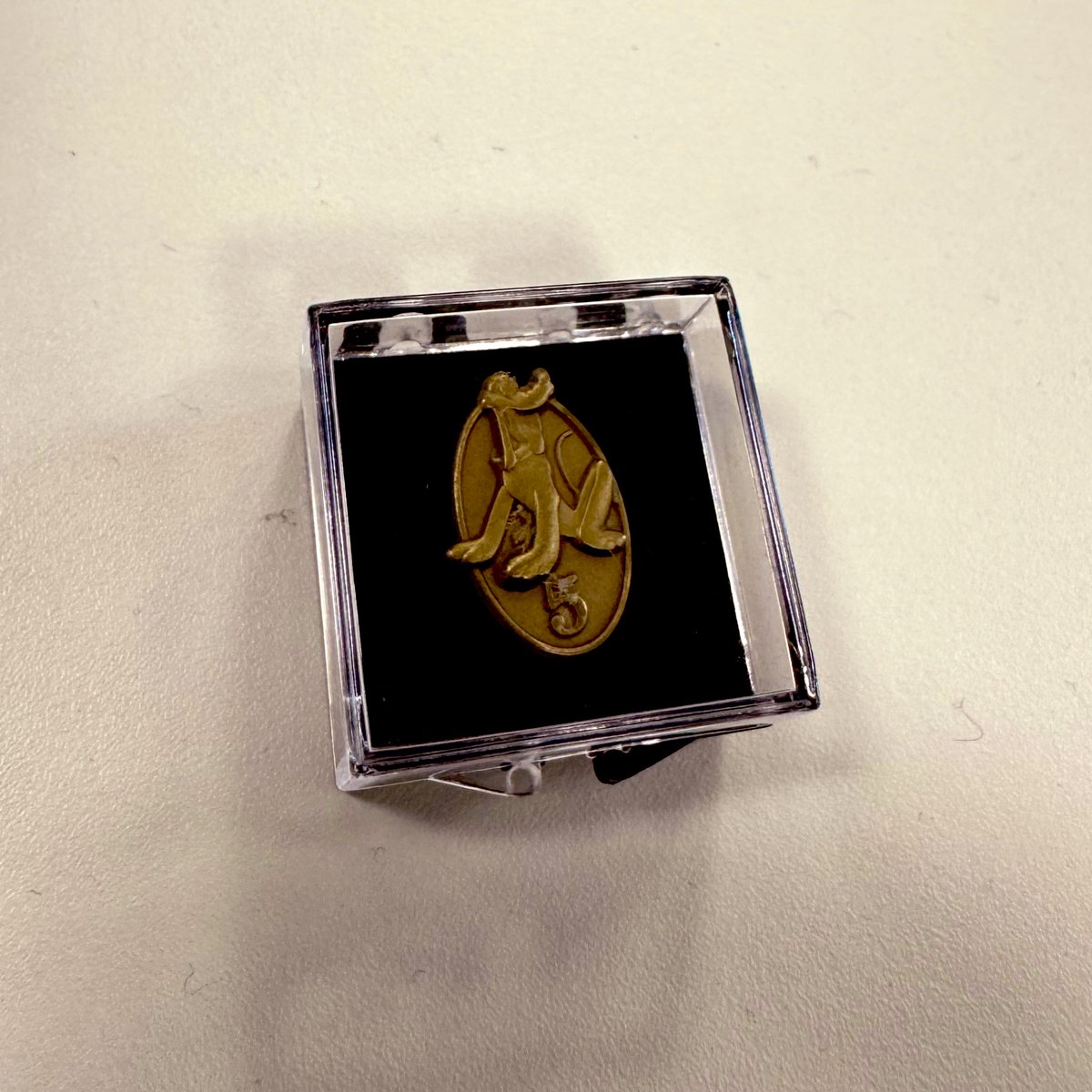 Hey guess what if you work for the mouse for half a decade they give you a teeny tiny pin