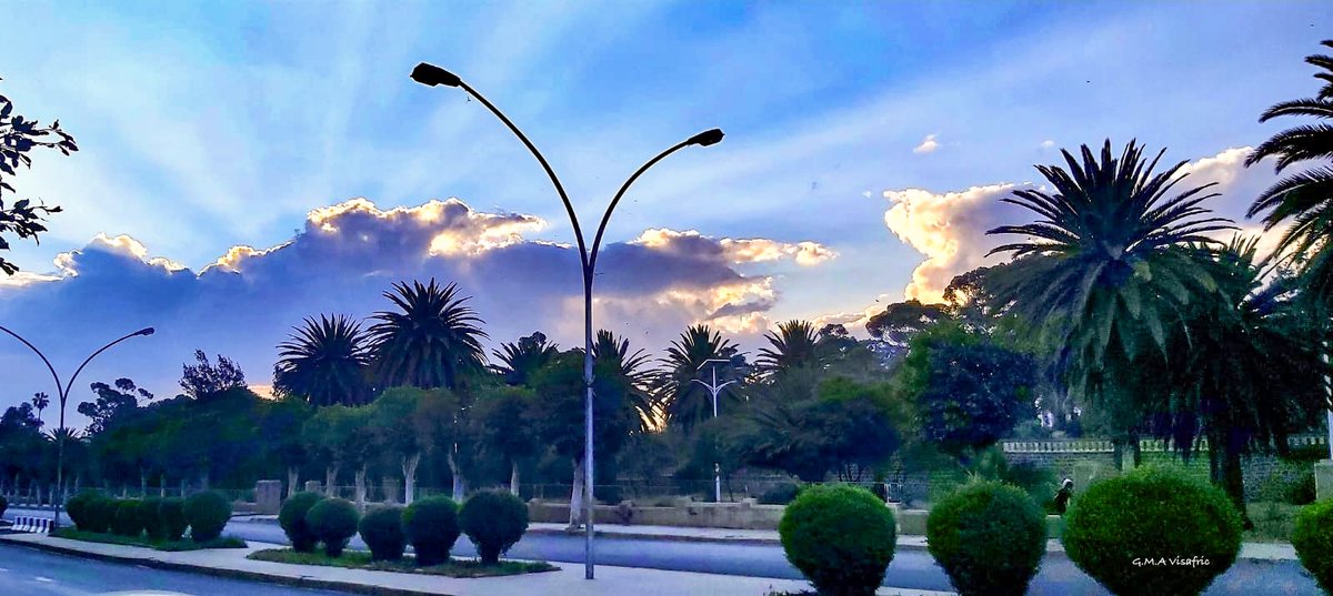GhideonMusa's tweet photo. Golden hour in Asmara: Where nature and city life blend in perfect harmony! 🇪🇷🌴✨⛅️
#Asmara #Eritrea #SunsetMagic https://t.co/0lzFp8iCUW