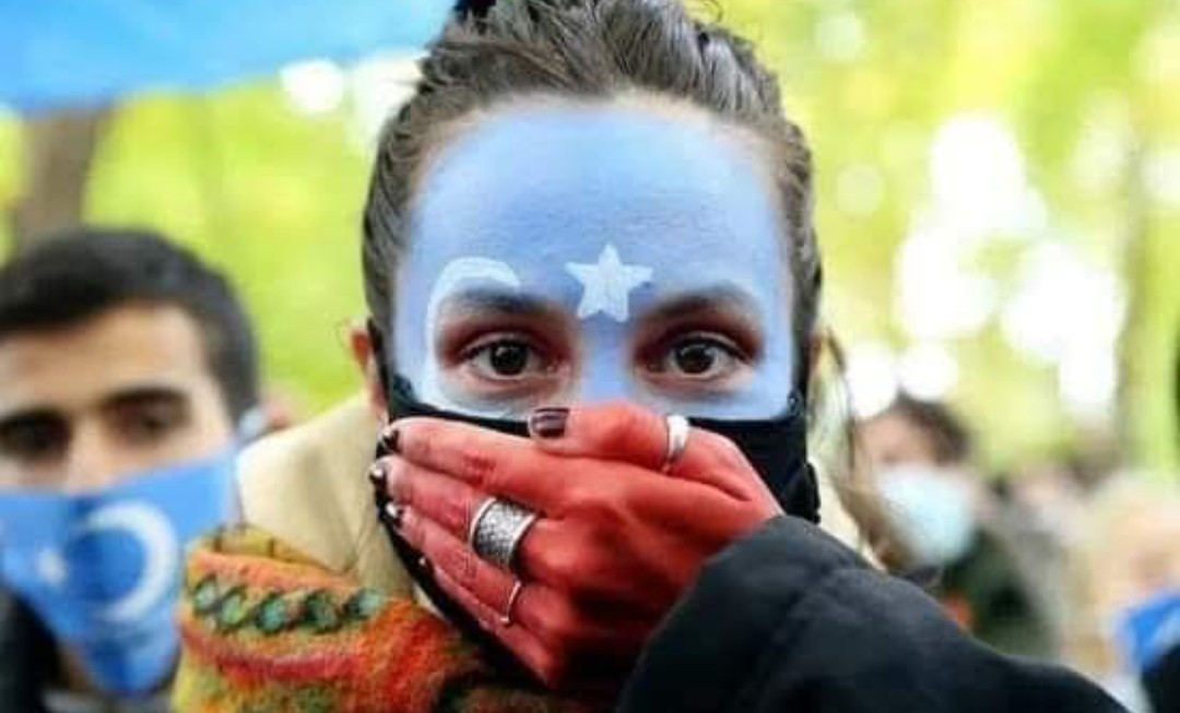 Bala_hatn's tweet photo. #FreeTurkistan https://t.co/oQA95v0eAl