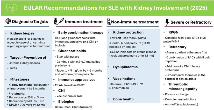 📝 The 2025 EULAR update on lupus nephritis management is out!

✅ 4 overarching principles
✅ 13 recommendations for clinical practice

🔗 ard.eular.org/article/S0003-…