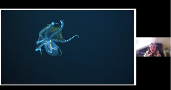 STEMHUB_SE's tweet image. 🌿Explore #GreenCareers! Celebrate #GCW2025 (3–9 Nov) and watch on-demand talks from @STEMAmbassadors from air quality to marine biology 
 thestemhub.org.uk/green-careers
@Green__Careers @STEMLearningUK #GreenCareersWeek #Teachers #Students #Parents #STEMed @MantaTrust