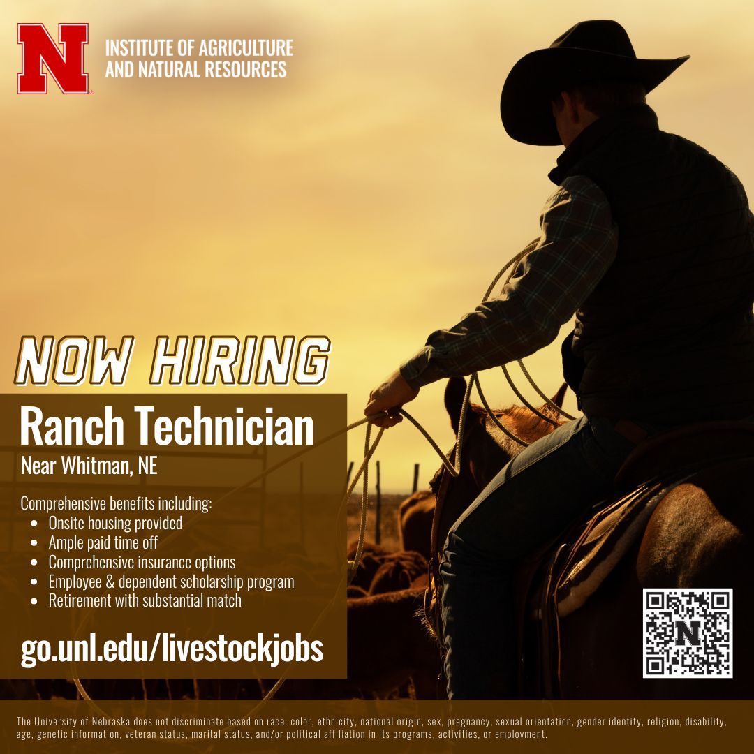 wcreec's tweet image. We're Hiring! 💼 
Join our team near Whitman, NE as a Ranch Technician and help support Nebraska's livestock industry. Hands-on work, meaningful impact, and wide-open spaces await!
Apply now at buff.ly/7sm1py9 📲