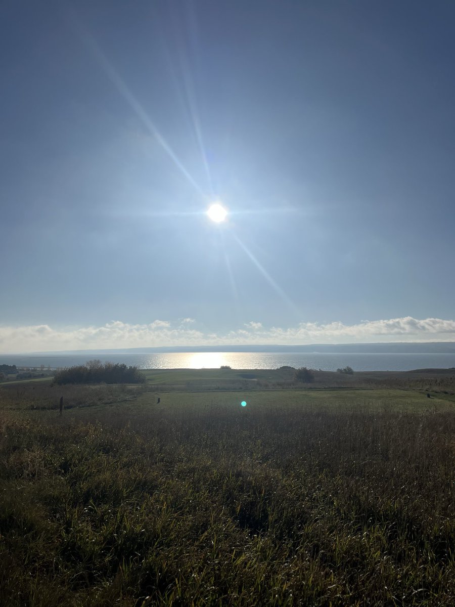 Gustavo Rodriguez, CGCS tweet media