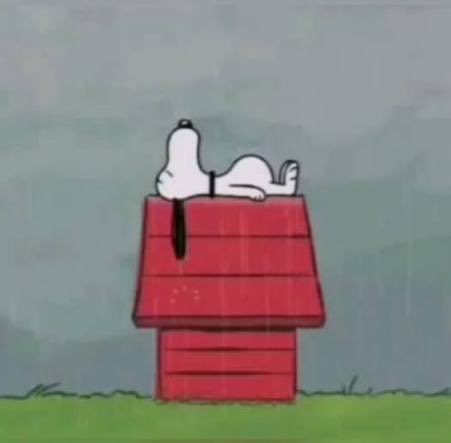 How often have I lain beneath rain on a strange roof, thinking of home