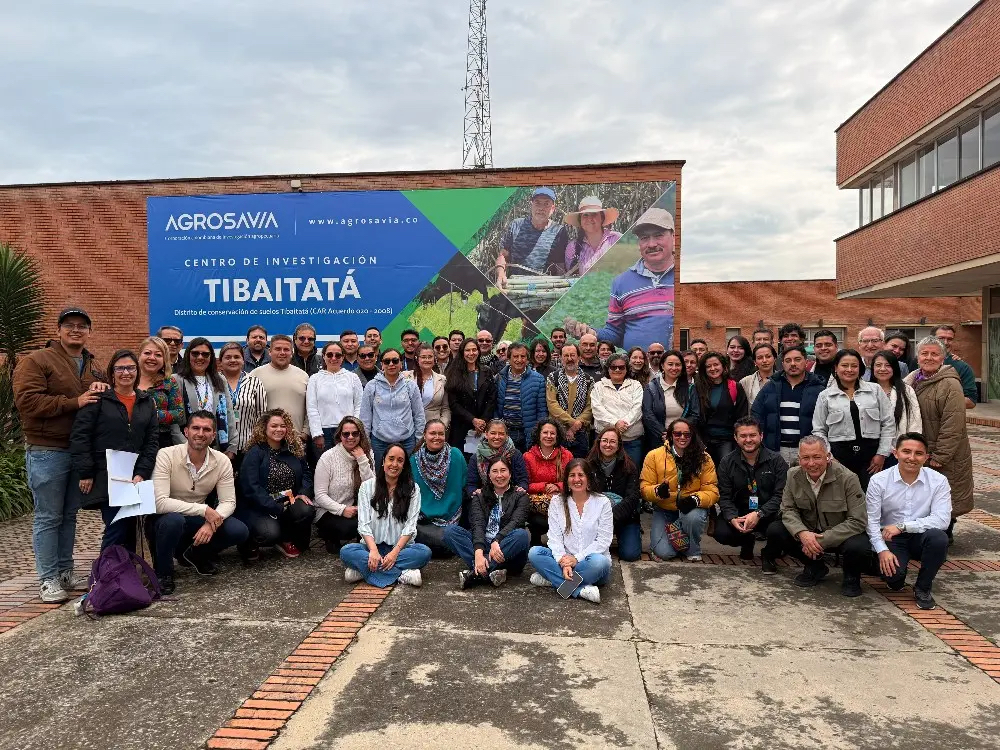 SomosAGROSAVIA's tweet photo. #NoticiasAGROSAVIA El Ministerio de Agricultura y Desarrollo Rural avanza en la actualización del Plan Estratégico de Ciencia, Tecnología e Innovación Agropecuaria (PECTIA), en coordinación con MinCiencias, el DNP y AGROSAVIA. El proceso busca fortalecer el SNIA y responder a los nuevos desafíos del sector con una visión sostenible e inclusiva basada en el conocimiento. 👇
https://t.co/d5SOPUAvcj