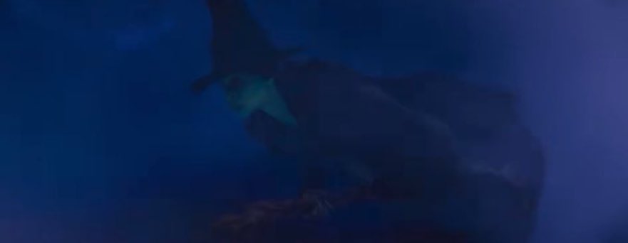 SHES INSIDE THE FUCKING TORNADO