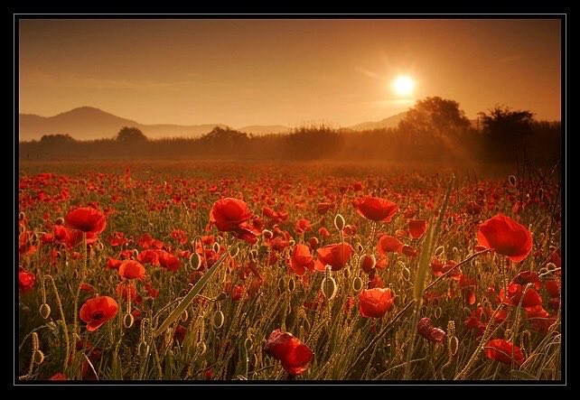 You will never 
truly know the value
of the moment until
    it’s gone!
