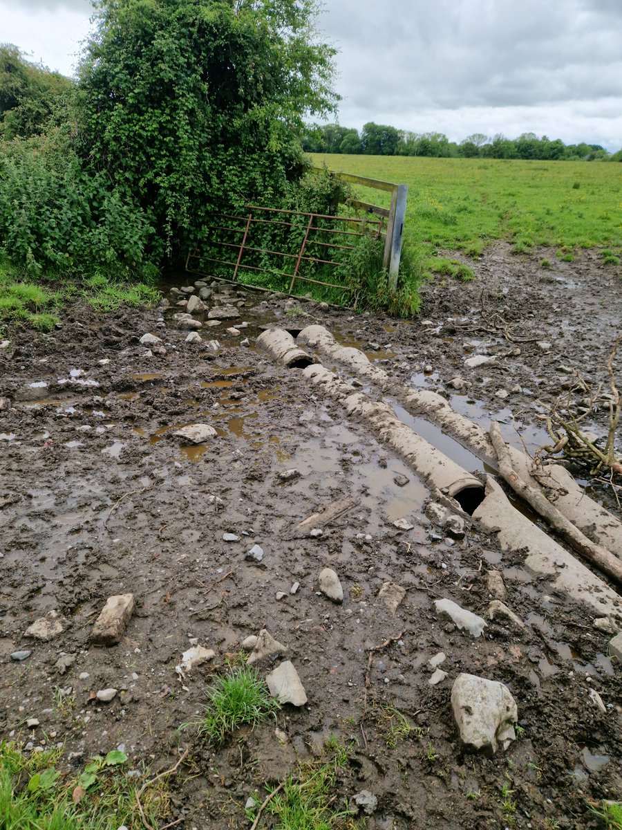 East Coast Catchment Science - Dónal O'Keeffe tweet media