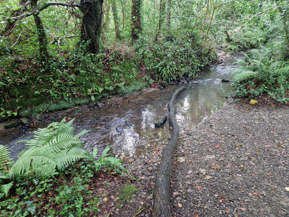 East Coast Catchment Science - Dónal O'Keeffe tweet media